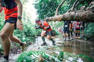 BIB: 
                            <button type="button" onclick="openModal(25469384)" class="btn btn-primary btn-sm float-right btn-popup" data-toggle="modal" data-target=".modal-high-quality">
                        <i class="fas fa-shopping-cart"></i> Add to Cart
                    </button>
                                            <button type="button" onclick="isThisMe(25469384, true)" class="btn btn-success btn-sm float-right btn-popup btn-isme hidden" data-toggle="tooltip" data-placement="bottom" title="นี่คือรูปของคุณใช่ไหม คลิกที่นี่เพื่อเอาเข้าอัลบั้ม">
                        <i class="fas fa-plus"></i> Add to album
                    </button>
                    <button type="button" onclick="isThisMe(25469384, false)" class="btn btn-warning btn-sm float-right btn-popup btn-isnotme hidden">
                        <i class="fas fa-ban"></i> Remove from album
                    </button>